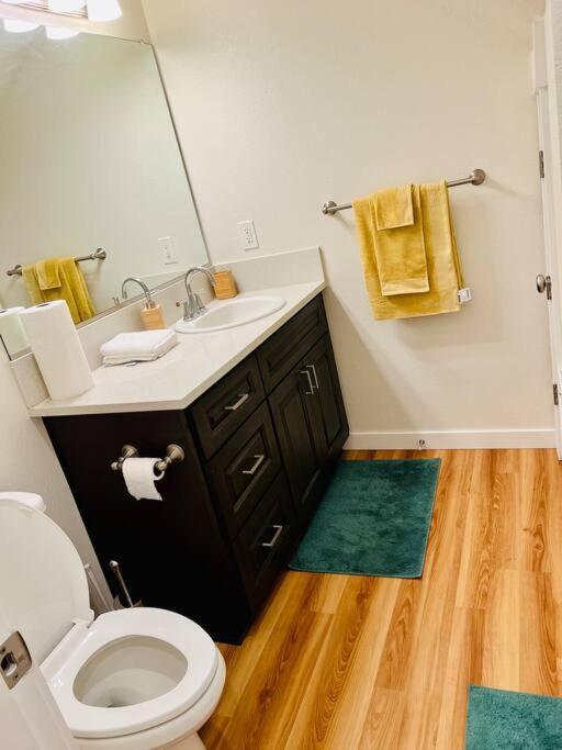 Cozy Studio North Apartment *