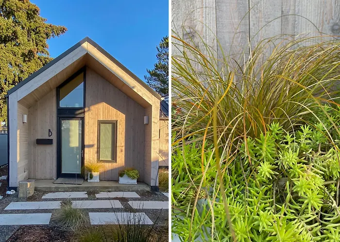 Private Oasis! Cozy & Close To Everything!