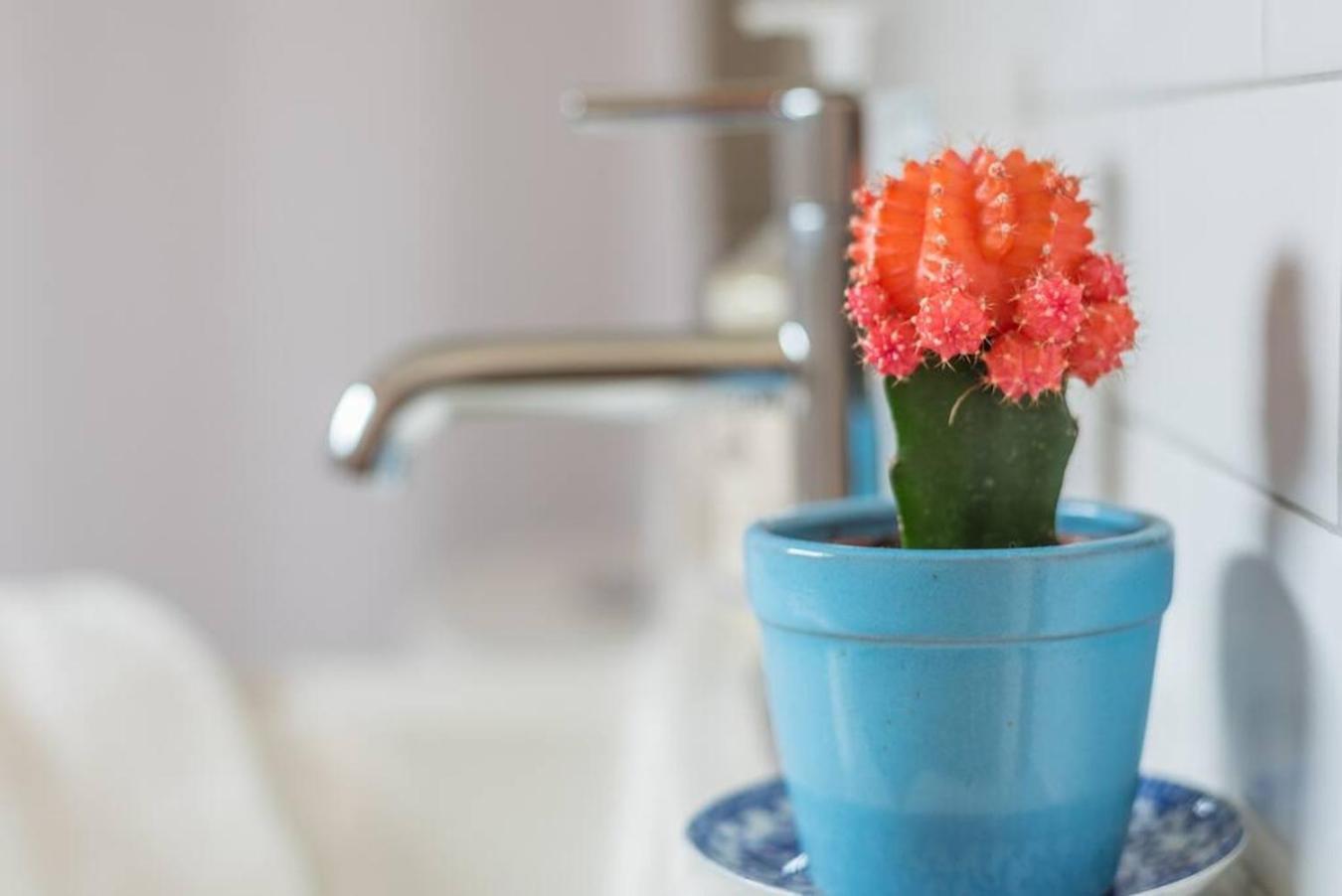 Private Studio, Lofted Bed, Soaking Tub & Patio * Portland